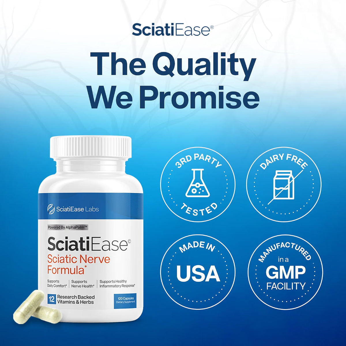 SciatiEase Sciatic Nerve Health Support Supplement, 120 Capsules NEW
